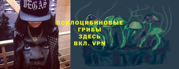 ГАЛЛЮЦИНОГЕННЫЕ ГРИБЫ Пестово