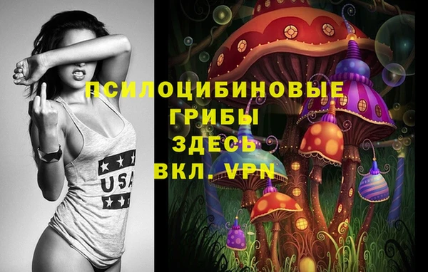 COCAINE Переславль-Залесский