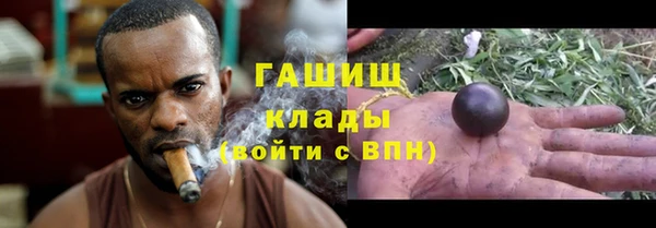 ГАЛЛЮЦИНОГЕННЫЕ ГРИБЫ Пестово