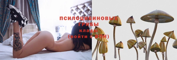 мяу мяу мука Покров