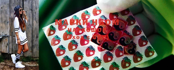 ГАЛЛЮЦИНОГЕННЫЕ ГРИБЫ Пестово