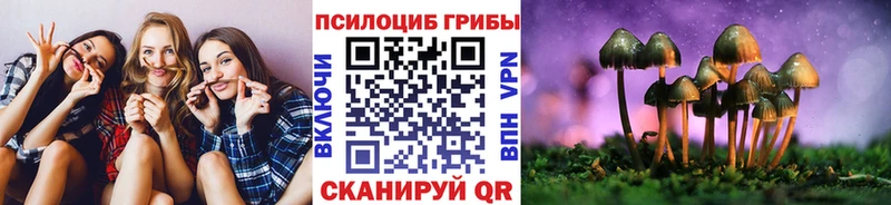 как найти закладки  Ростов-на-Дону  Галлюциногенные грибы Psilocybine cubensis 