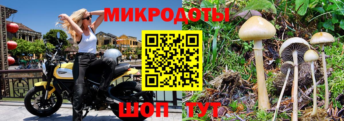 Галлюциногенные грибы прущие грибы  Вход с VPN  Псилоцибиновые грибы MAGIC MUSHROOMS  Ростов-на-Дону 