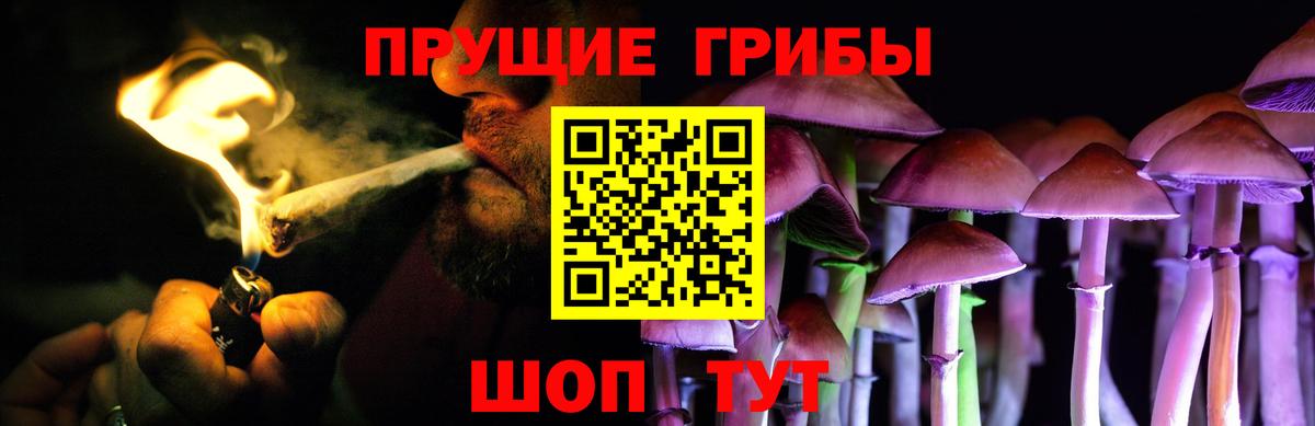 Псилоцибиновые грибы Cubensis Ростов-на-Дону